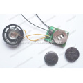 Sound Module for Bottle Opener, Sound Chip